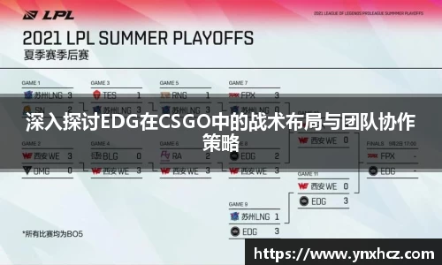 星空娱乐