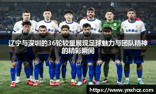 辽宁与深圳的36轮较量展现足球魅力与团队精神的精彩瞬间