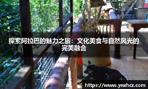 娱乐星空下载
